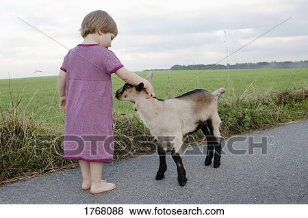 Stock Photo - Cute girl petting goat on rural road. Fotosearch