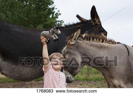 Stock Image - Cute girl with donkeys holding stuffed donkey. Fotosearch
