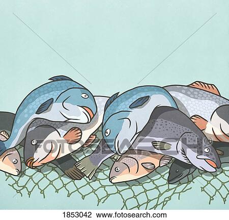 Dead fish caught in netting View Large Photo Image Stock Image - Dead fish caught in netting. Fotosearch