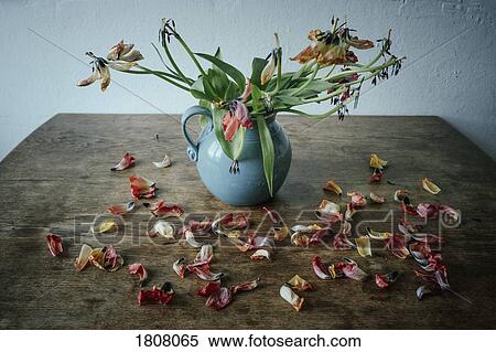Dead flower petals falling from stems in vase View Large Photo Image Stock Photography - Dead flower petals falling from stems in vase. Fotosearch