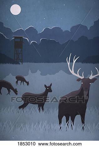 Deer grazing in field on full moon night View Large Photo Image Stock Image - Deer grazing in field on full moon night. Fotosearch