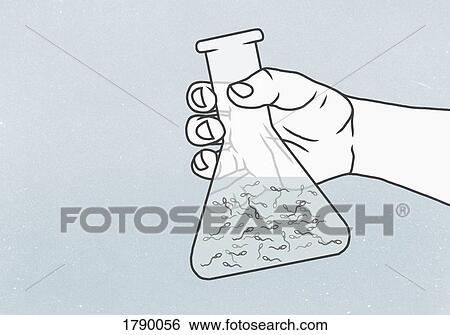 Detail of hand holding a conical flask containing sperm View Large Photo Image Stock Photograph - Detail of hand holding a conical flask containing sperm. Fotosearch