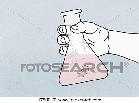 Stock Photo - Detail of hand holding conical flask containing human embryo in liquid. Fotosearch