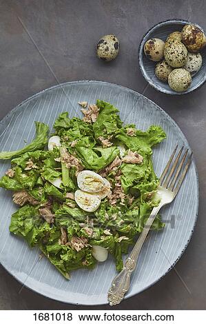 Directly above shot of salad in plate on table View Large Photo Image Stock Photo - Directly above shot of salad in plate on table. Fotosearch