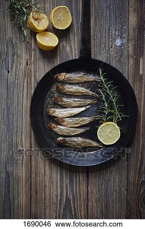Directly above shot of seafood in cooking pan on wooden table View Large Photo Image Stock Photograph - Directly above shot of seafood in cooking pan on wooden table. Fotosearch