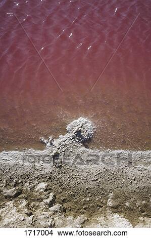 Directly above view of pink water at salt flat View Large Photo Image Picture - Directly above view of pink water at salt flat. Fotosearch