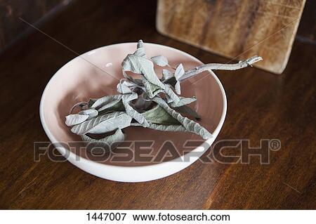 Dry leaves in bowl on table at home View Large Photo Image Stock Photo - Dry leaves in bowl on table at home. Fotosearch
