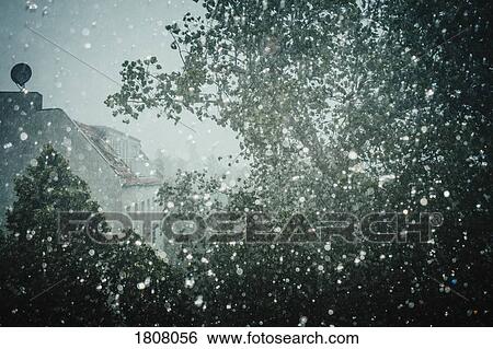 Ethereal raindrops on window overlooking tree View Large Photo Image Stock Photograph - Ethereal raindrops on window overlooking tree. Fotosearch