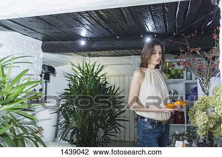 Female owner holding artificial pumpkins at decor shop View Large Photo Image Stock Image - Female owner holding artificial pumpkins at decor shop. Fotosearch