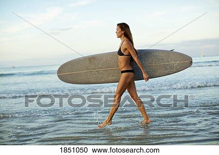 Female surfer carrying surfboard in ocean surf View Large Photo Image Stock Image - Female surfer carrying surfboard in ocean surf. Fotosearch