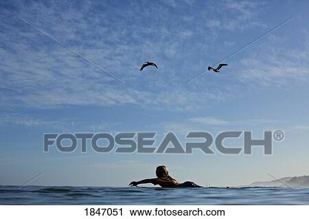 Female surfer paddling out on sunny, blue ocean View Large Photo Image Stock Image - Female surfer paddling out on sunny, blue ocean. Fotosearch
