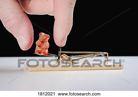 Fingers reaching for gummy bear candy on mousetrap View Large Photo Image Stock Image - Fingers reaching for gummy bear candy on mousetrap. Fotosearch