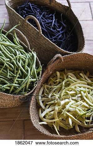 Fresh harvested variety of yellow, green and purple beans in straw baskets View Large Photo Image Stock Photo - Fresh harvested variety of yellow, green and purple beans in straw baskets. Fotosearch
