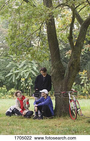 Friends talking while relaxing below tree on grassy field at park View Large Photo Image Stock Image - Friends talking while relaxing below tree on grassy field at park. Fotosearch