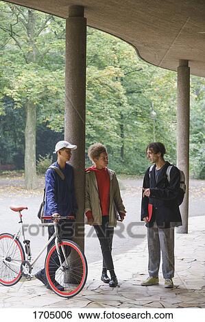 Friends talking while standing in gazebo against trees at park View Large Photo Image Stock Photograph - Friends talking while standing in gazebo against trees at park. Fotosearch