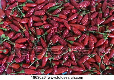 Full frame abundance of vibrant, red, organic chili peppers View Large Photo Image Stock Photograph - Full frame abundance of vibrant, red, organic chili peppers. Fotosearch
