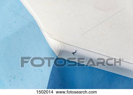 Full Frame shot of blue wall View Large Photo Image Picture - Full Frame shot of blue wall. Fotosearch