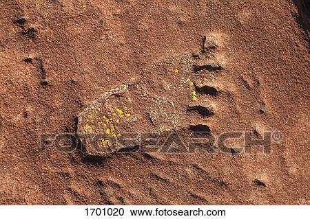 Stock Image - Full frame shot of footprint on rock surface. Fotosearch