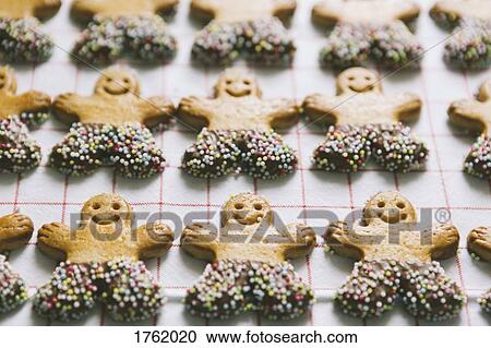 Gingerbread men Christmas cookies arranged in rows View Large Photo Image Stock Image - Gingerbread men Christmas cookies arranged in rows. Fotosearch