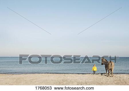 Girl and donkey at beach, Wiendorf, Mecklenburg-Vorpommern, Germany View Large Photo Image Stock Image - Girl and donkey at beach, Wiendorf, Mecklenburg-Vorpommern, Germany. Fotosearch