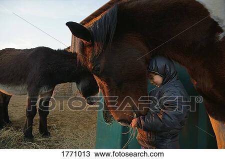 Stock Image - Girl feeding horse. Fotosearch