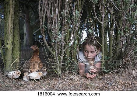 Picture - Girl holding baby chick under tree on farm. Fotosearch