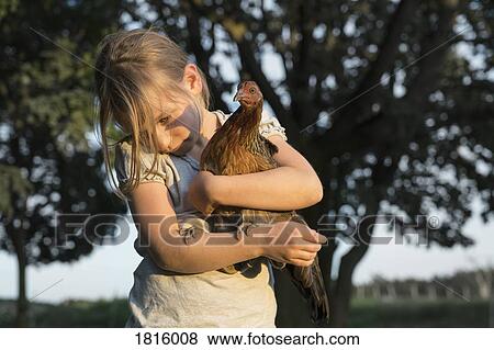 Girl holding Bush Hen on farm View Large Photo Image Stock Photo - Girl holding Bush Hen on farm. Fotosearch