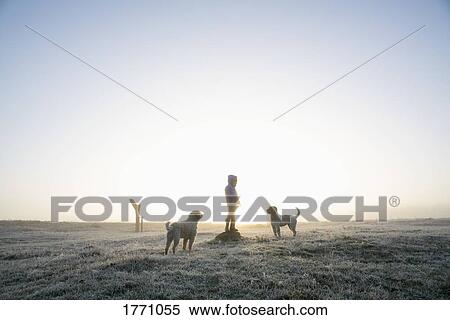 Girl in frozen winter field with dogs View Large Photo Image Stock Photography - Girl in frozen winter field with dogs. Fotosearch