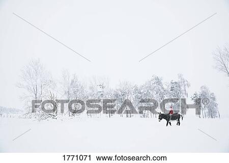 Stock Image - Girl in Santa hat riding donkey in snowy field. Fotosearch