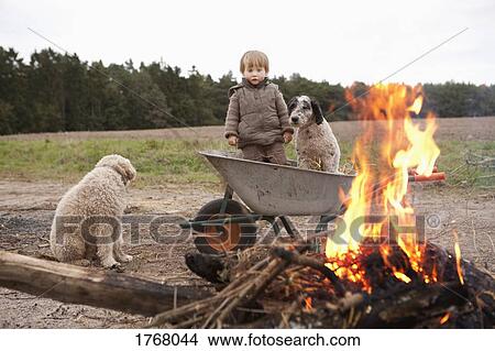 Picture - Girl in wheelbarrow with dog near bonfire. Fotosearch