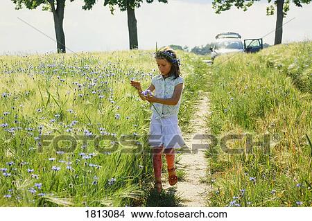 Girl picking purple wildflowers in sunny, idyllic rural field View Large Photo Image Picture - Girl picking purple wildflowers in sunny, idyllic rural field. Fotosearch