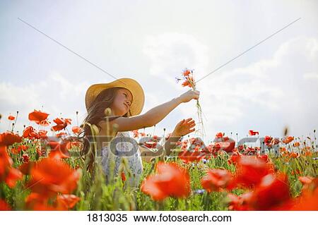 Girl picking red poppy flowers in sunny, idyllic rural field View Large Photo Image Stock Photography - Girl picking red poppy flowers in sunny, idyllic rural field. Fotosearch