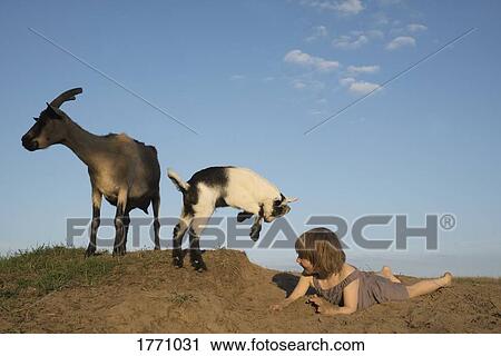 Girl playing with goats View Large Photo Image Stock Image - Girl playing with goats. Fotosearch