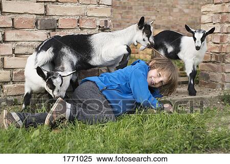 Girl playing with goats View Large Photo Image Stock Photography - Girl playing with goats. Fotosearch