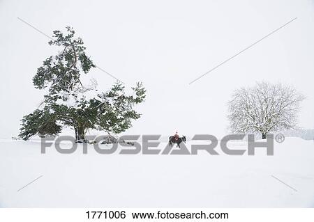 Girl riding donkey in snowy, rural field View Large Photo Image Stock Photograph - Girl riding donkey in snowy, rural field. Fotosearch
