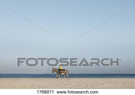 Girl riding donkey on beach, Wiendorf, Mecklenburg-Vorpommern, Germany View Large Photo Image Stock Image - Girl riding donkey on beach, Wiendorf, Mecklenburg-Vorpommern, Germany. Fotosearch