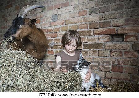 Stock Photo - Girl sitting in hay with goats in barn. Fotosearch