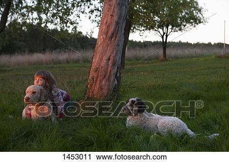 Girl sitting with dogs on grassy field View Large Photo Image Stock Image - Girl sitting with dogs on grassy field. Fotosearch