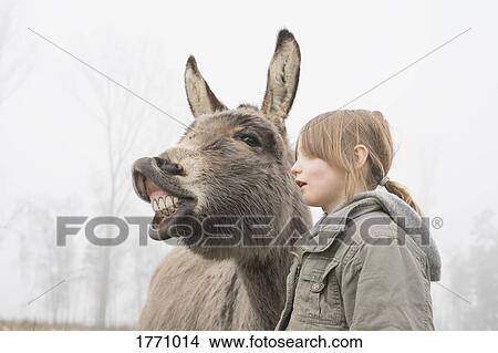 Girl standing next to donkey View Large Photo Image Picture - Girl standing next to donkey. Fotosearch