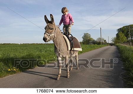Picture - Girl standing on donkey on rural road. Fotosearch