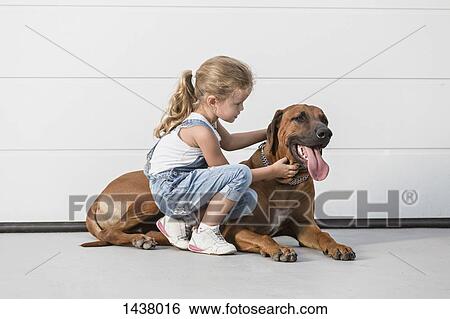 Girl stroking dog against white wall View Large Photo Image Stock Photograph - Girl stroking dog against white wall. Fotosearch