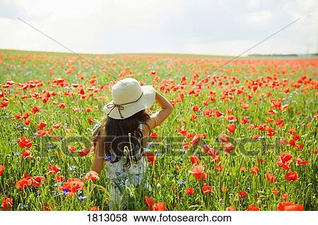 Girl walking in sunny, rural red poppy field View Large Photo Image Stock Photo - Girl walking in sunny, rural red poppy field. Fotosearch