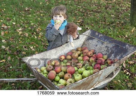 Girl with doll eating fresh, ripe harvested apple View Large Photo Image Stock Photo - Girl with doll eating fresh, ripe harvested apple. Fotosearch