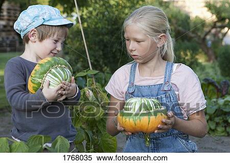 Girls harvesting gourds in garden View Large Photo Image Stock Photography - Girls harvesting gourds in garden. Fotosearch