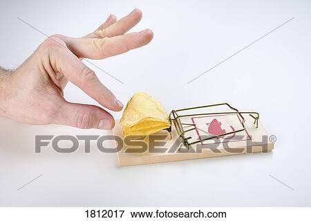 Stock Photo - Hand reaching for potato chips on mousetrap. Fotosearch