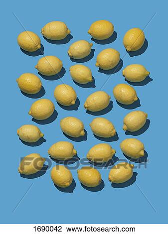 High angle view of fresh lemons on blue background View Large Photo Image Stock Image - High angle view of fresh lemons on blue background. Fotosearch