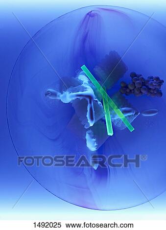 High angle view of illuminated dessert against blue background View Large Photo Image Stock Photography - High angle view of illuminated dessert against blue background. Fotosearch