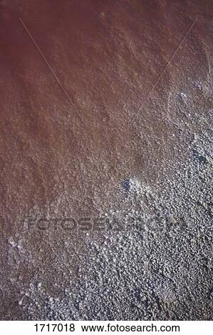 High angle view of pink water at salt flat View Large Photo Image Stock Photo - High angle view of pink water at salt flat. Fotosearch