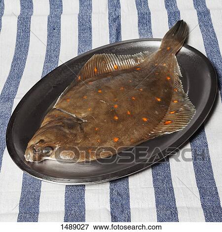 High angle view of plaice fish in plate View Large Photo Image Stock Photo - High angle view of plaice fish in plate. Fotosearch