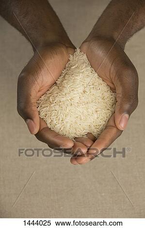 Stock Photography - High angle view of rice in cupped hands at table. Fotosearch